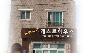 Sun Flower Minbak